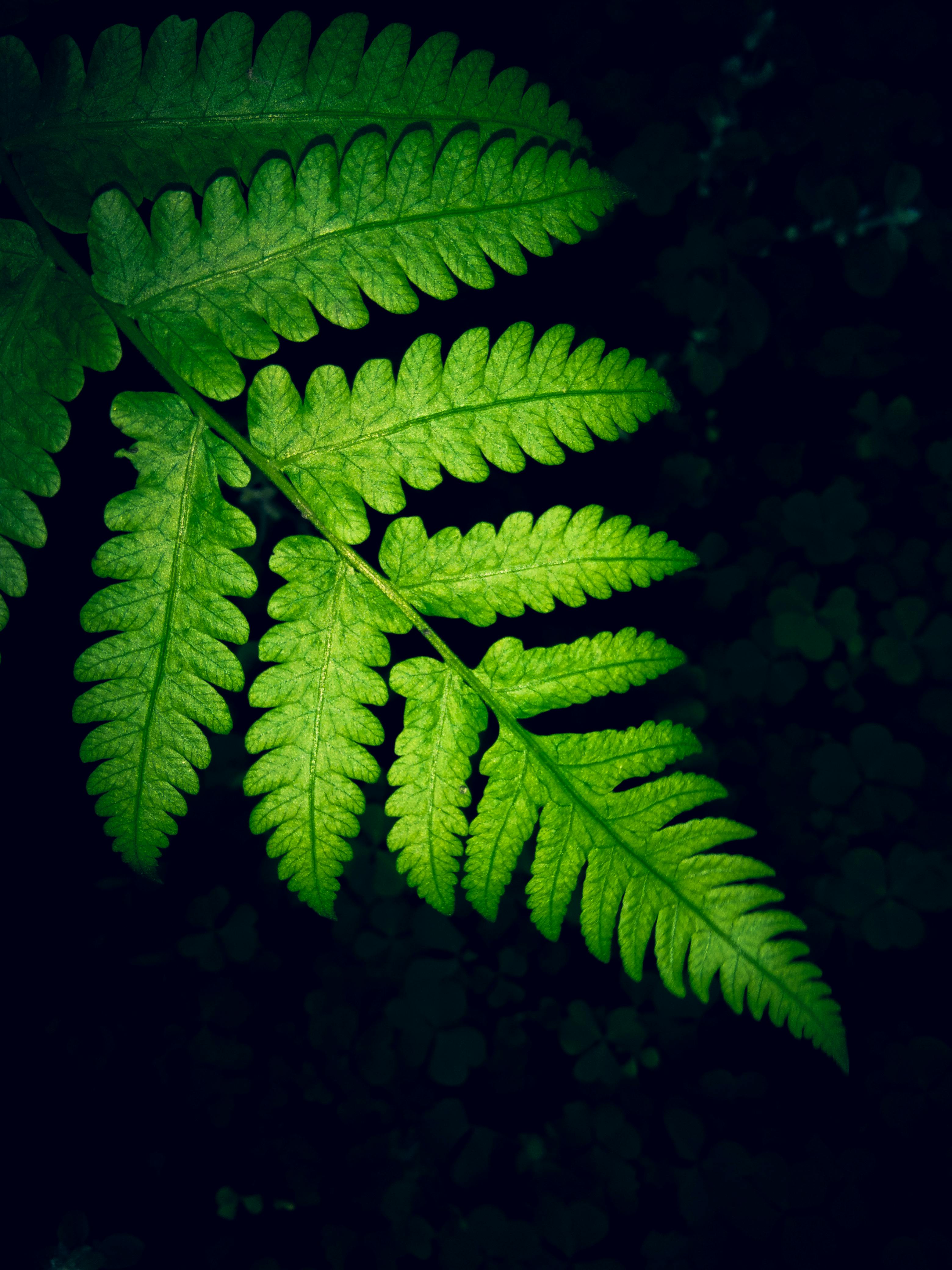 50,000+ Best Galaxy Wallpaper Photos · 100% Free Download · Pexels