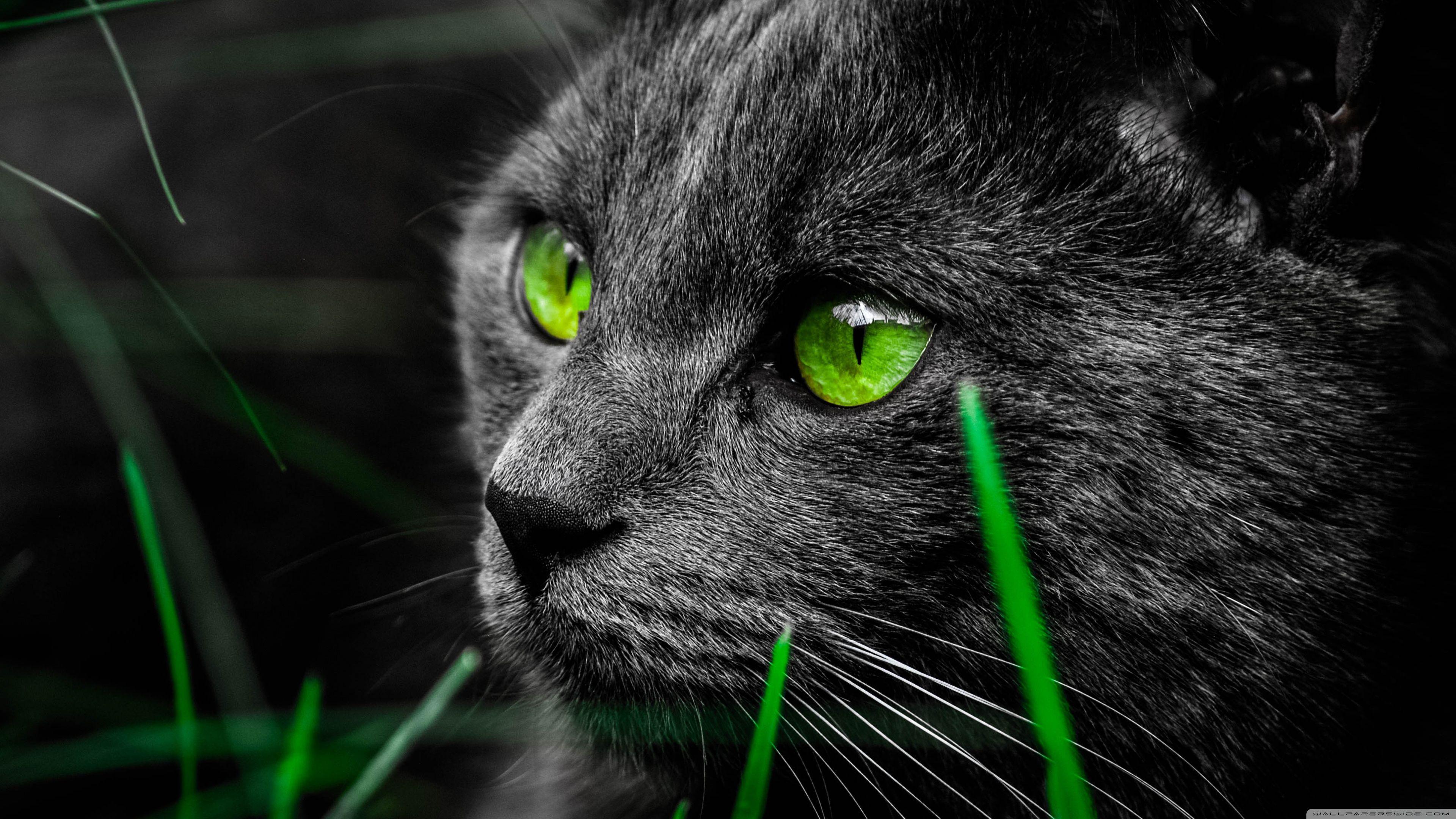 Dark 4K Wallpapers - Top Free Dark 4K Backgrounds - WallpaperAccess