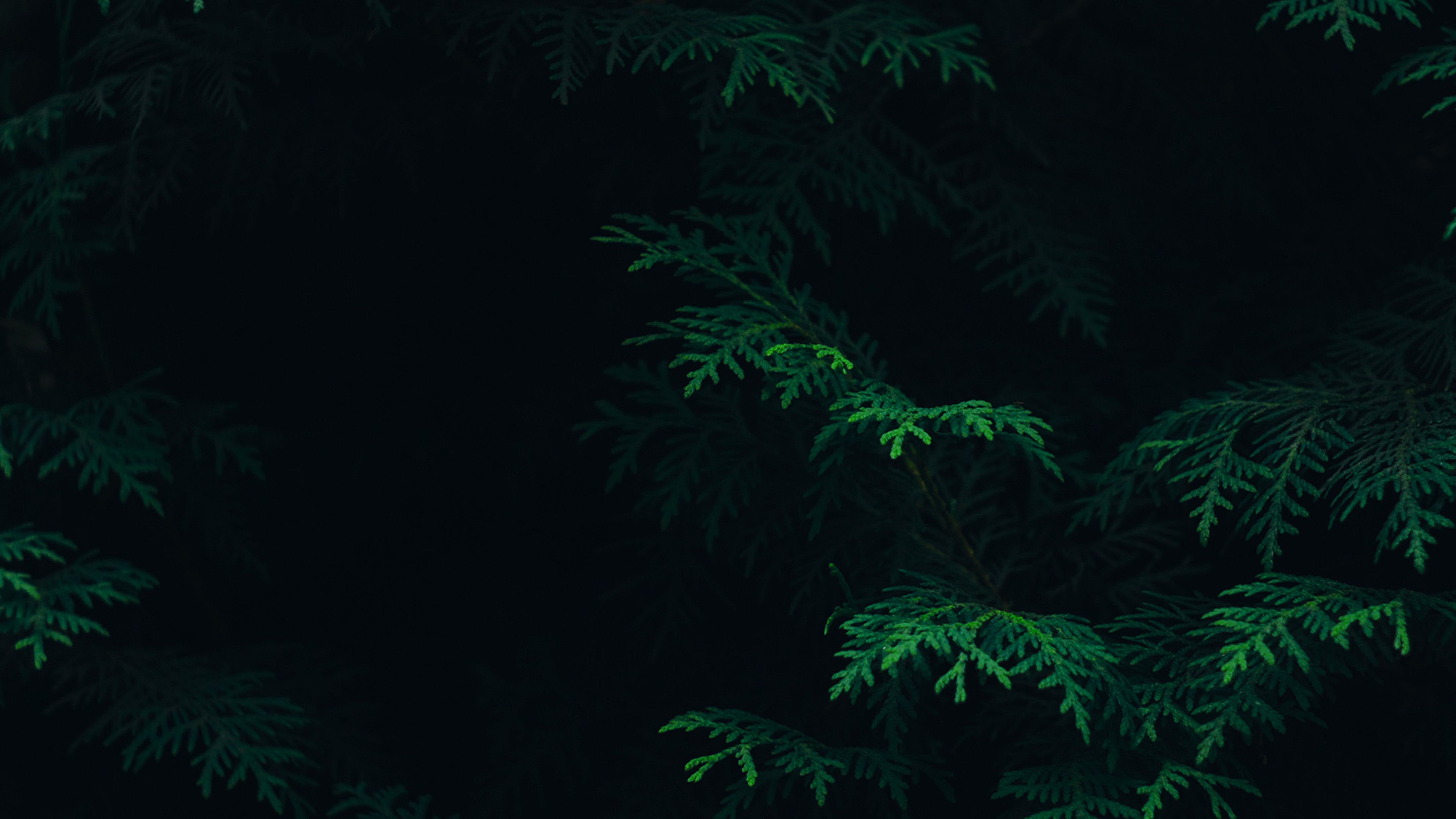 4k Green And Black Wallpapers - Wallpaper Cave