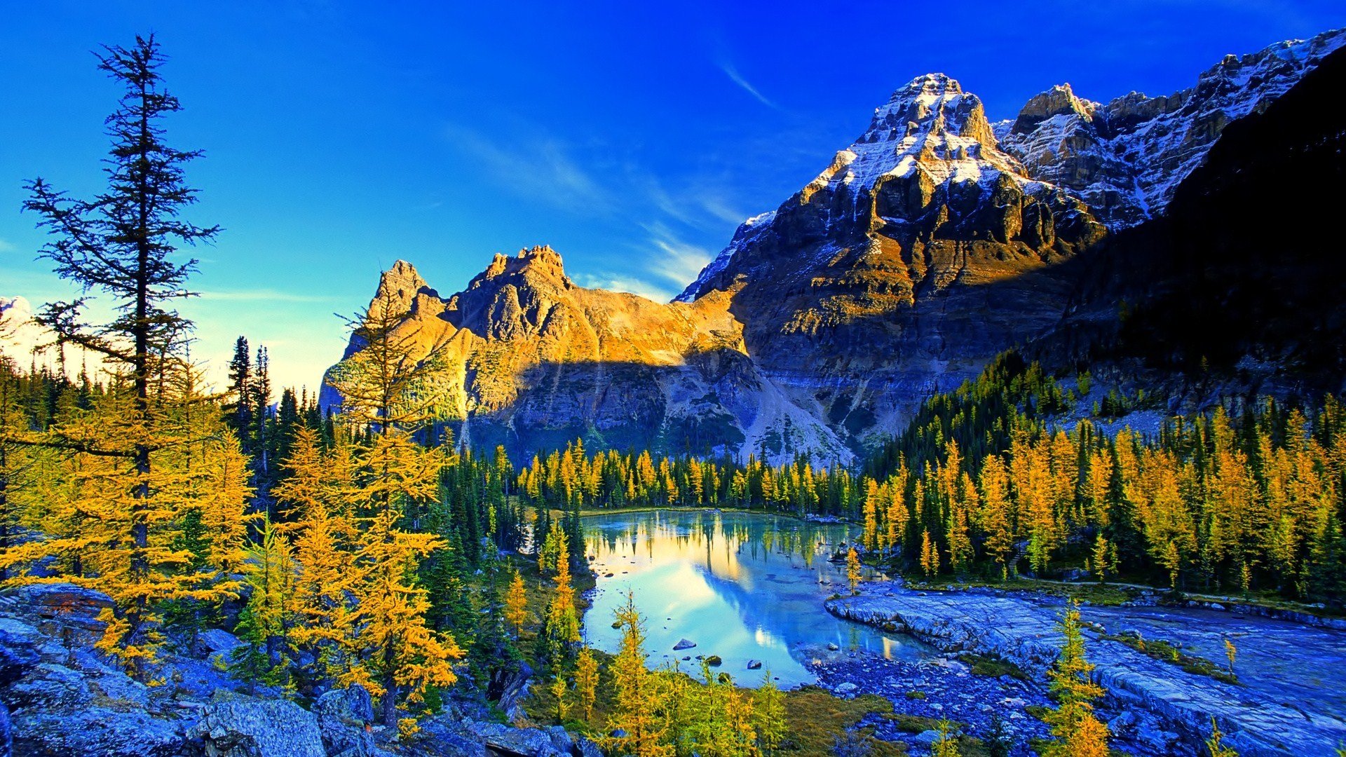 🔥 [40+] Stunning 4K Wallpapers | WallpaperSafari