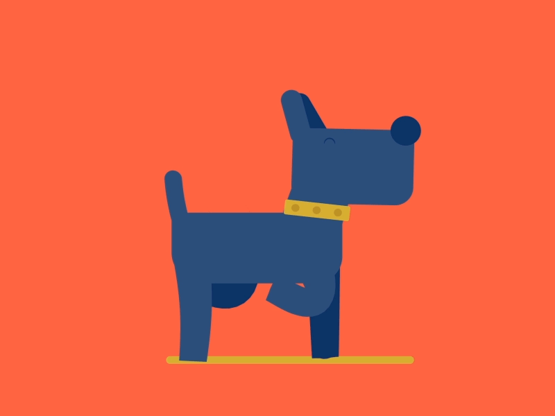 Pin by Seankimworks on Motion graphics animation | Motion design
