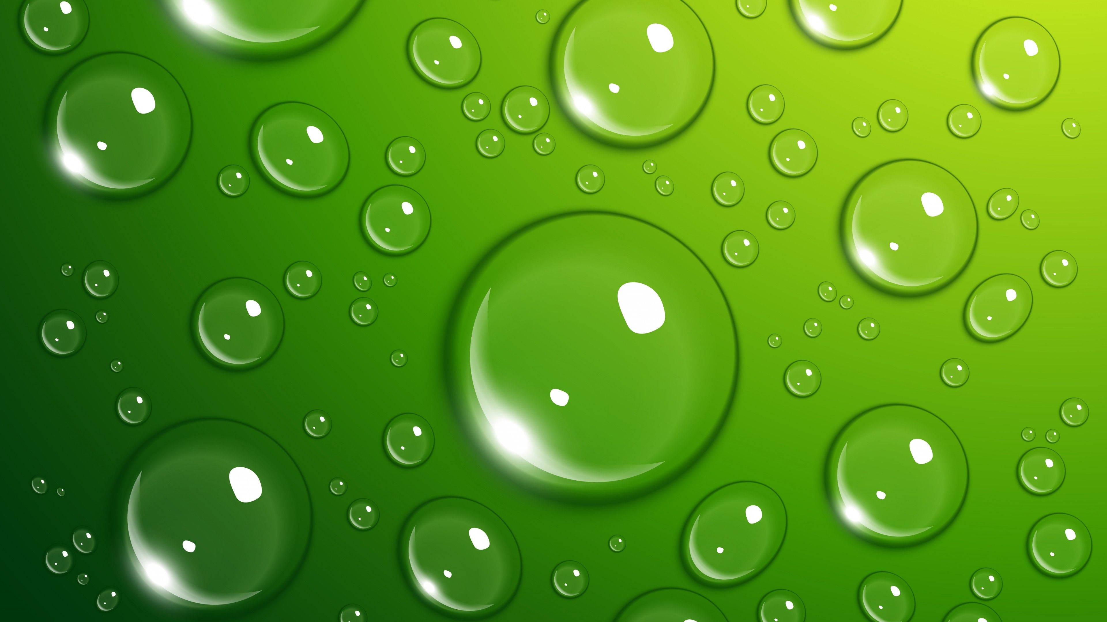 [100+] 4k Green Wallpapers | Wallpapers.com