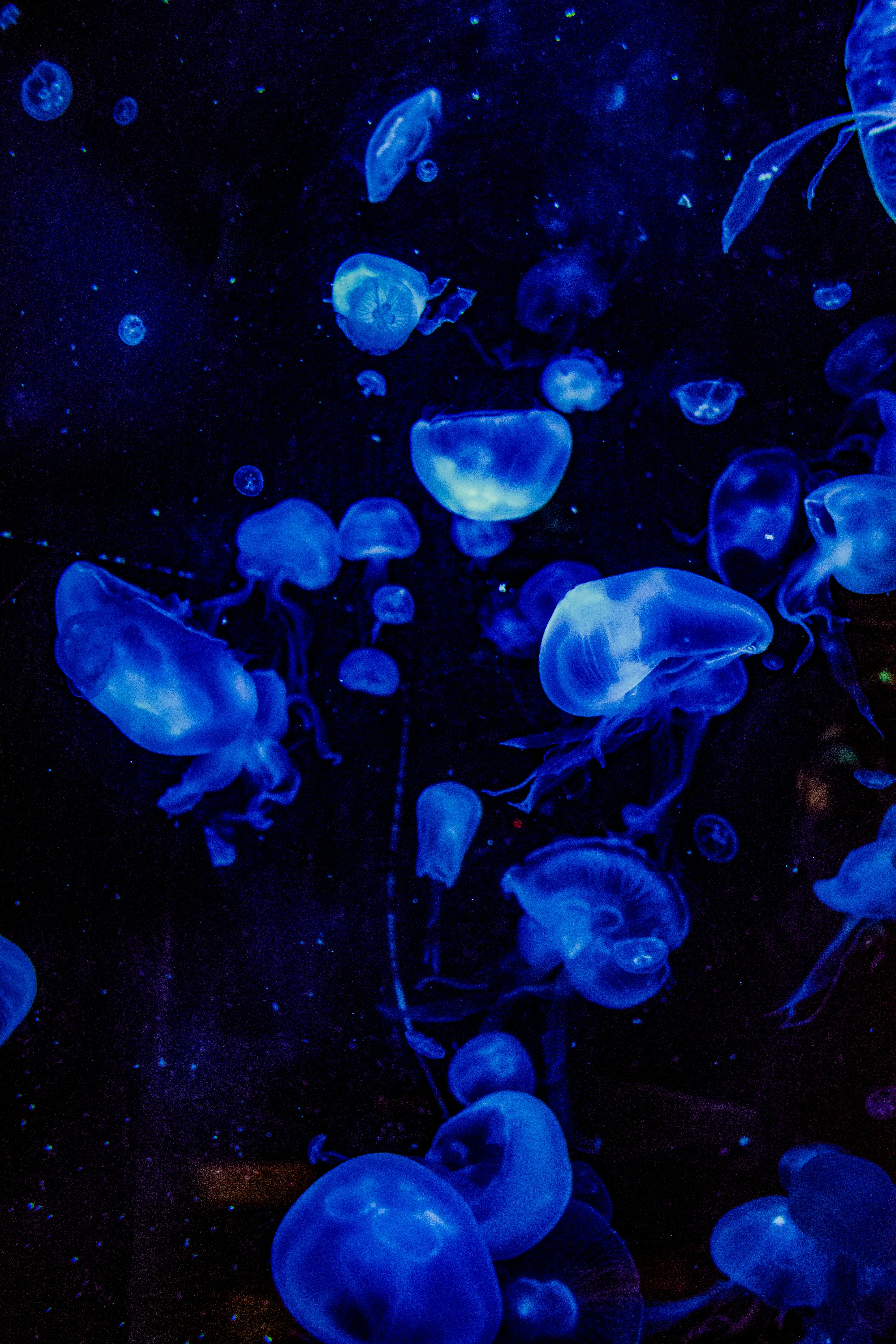 Dark Blue Wallpaper Photos, Download The BEST Free Dark Blue Wallpaper