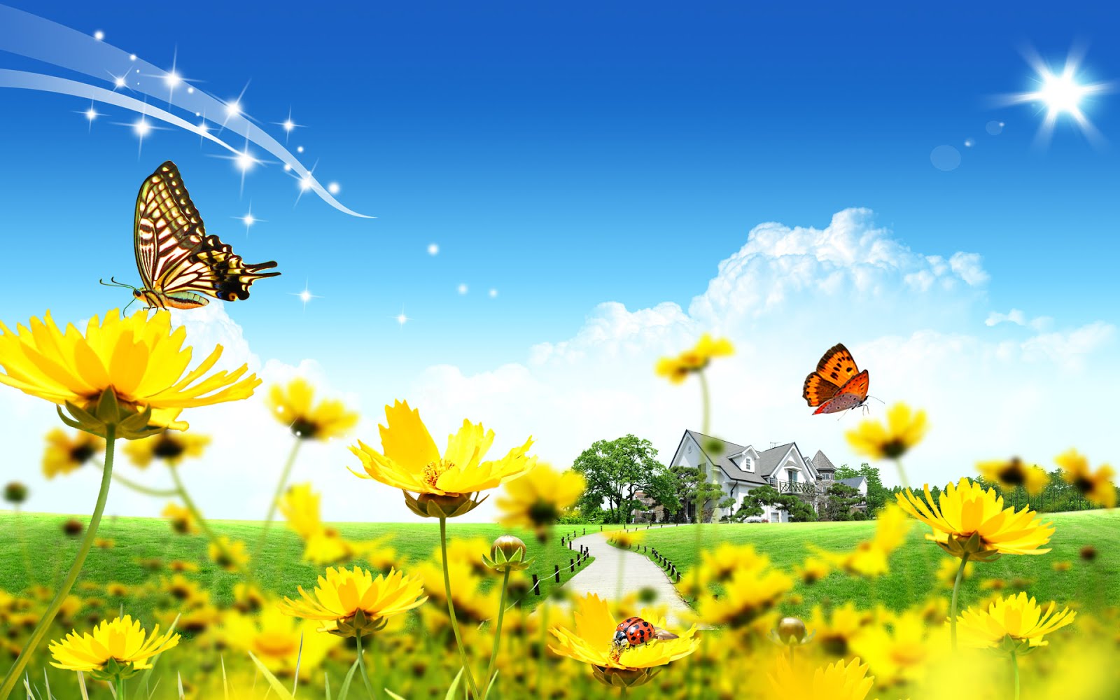 50 High Definition Free Wallpapers For Download